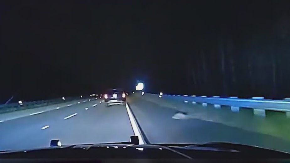 Video released for arrest of alleged kidnapper | FOX 5 Atlanta