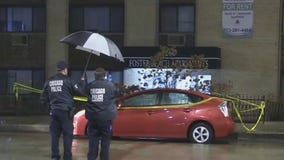 Good Samaritan fatally stabbed while trying to help others who were being attacked