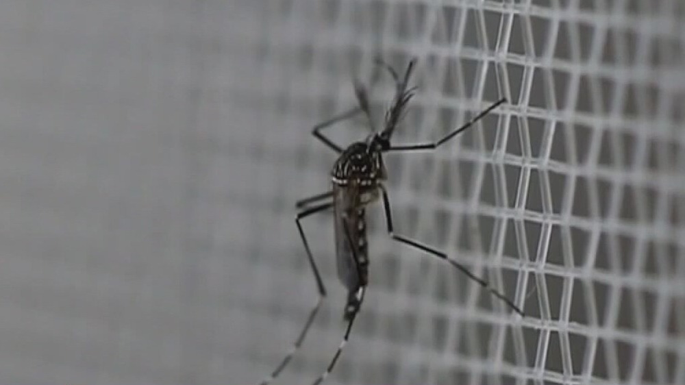 West Nile cases reported in Minnesota
