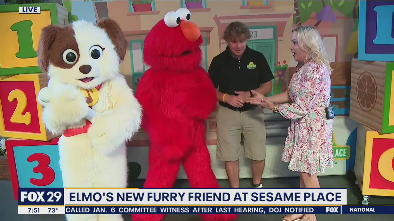 Meet Elmo's furry friend at Sesame Place