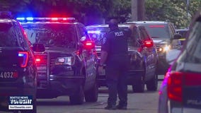 Seattle city leaders announce new public safety plan
