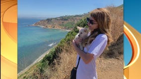 Pet Project success story