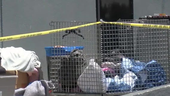 Dead body found outside Pasadena Goodwill