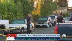 One dead after shooting in Auburn