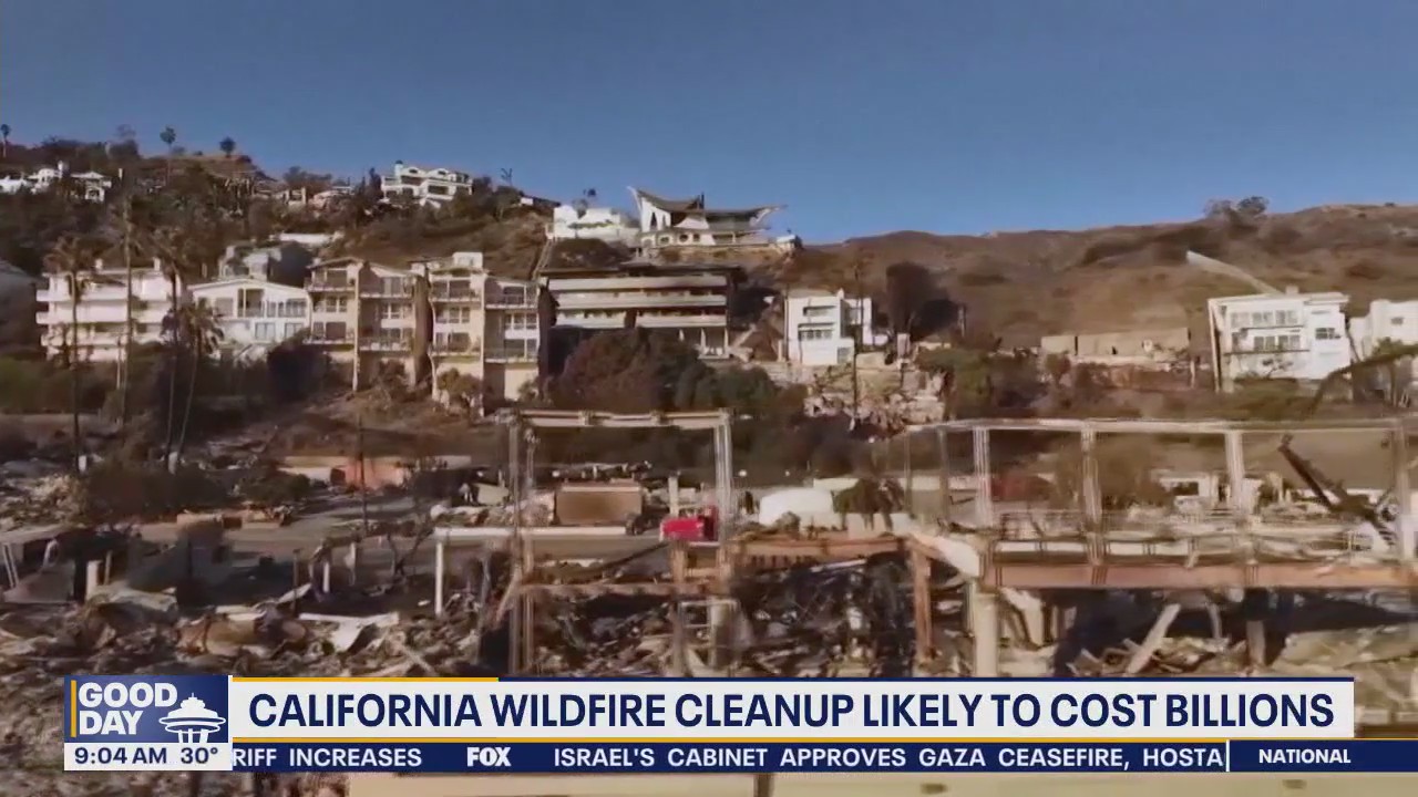 CA wildfire cleanup to cost billions