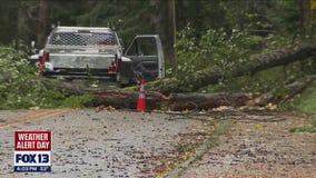 High wind warning in effect across North Sound