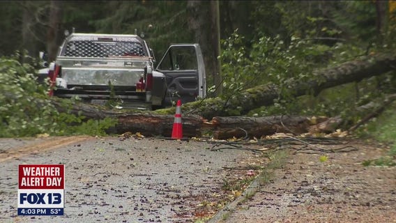 High wind warning in effect across North Sound