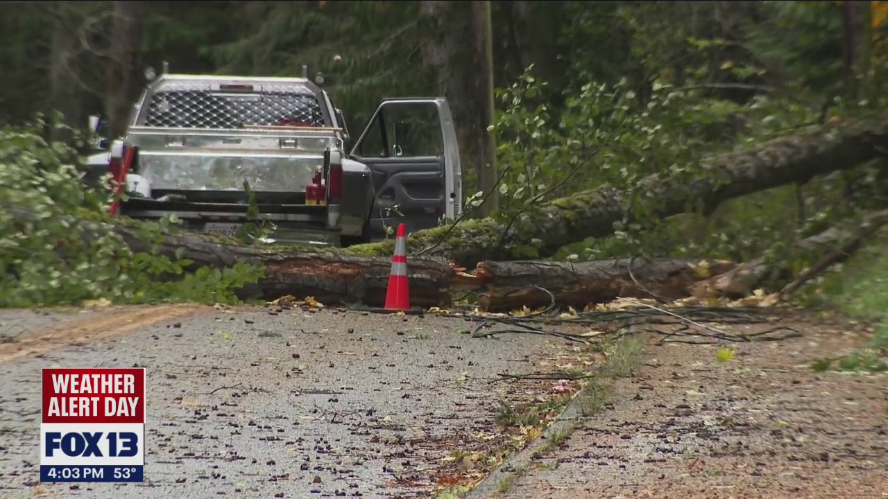 High wind warning in effect across North Sound