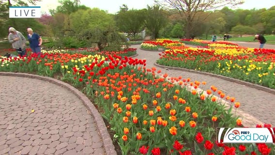 Spring in Bloom at the Minnesota Landscape Arboretum