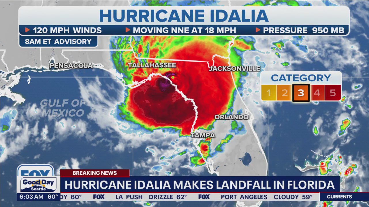 Hurricane Idalia makes landfall in Florida