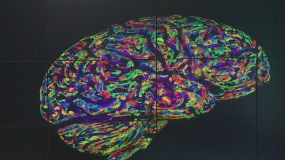 Addicted to social media? Company aims to help you restore your 'tech-life balance'