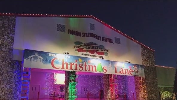 Christmas Lane in Plant City