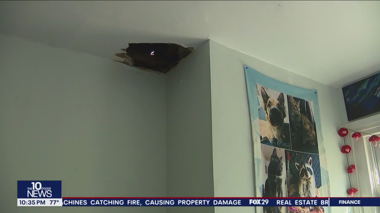Couple horrified as raccoons crash ceiling in North Philly apartment