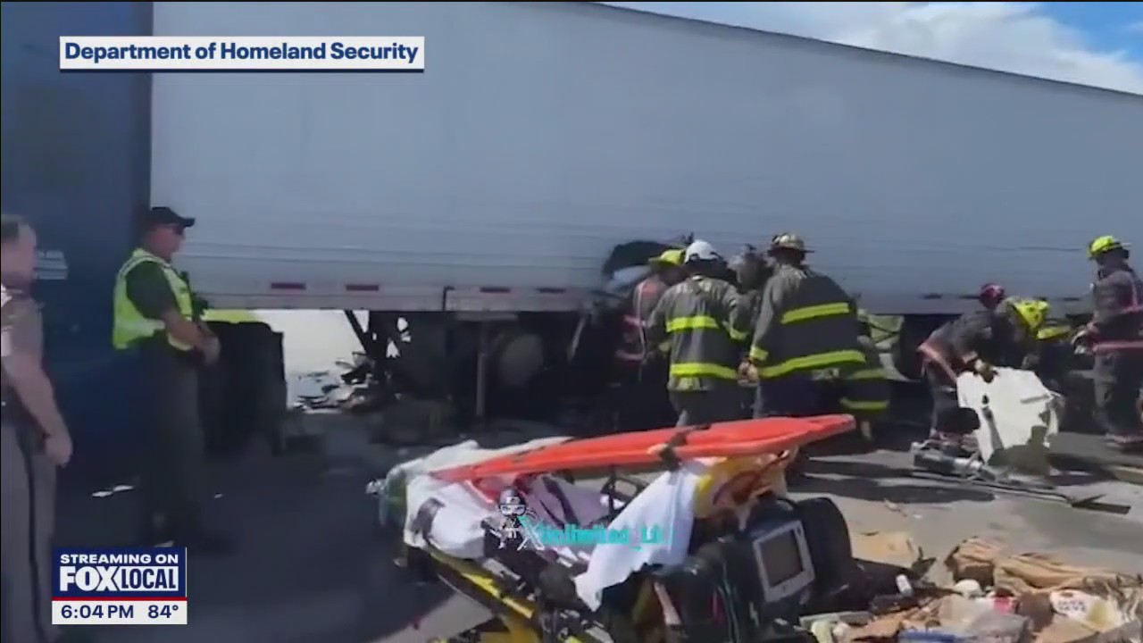 Battle after crash involving migrant in Florida | FOX 13 Tampa Bay