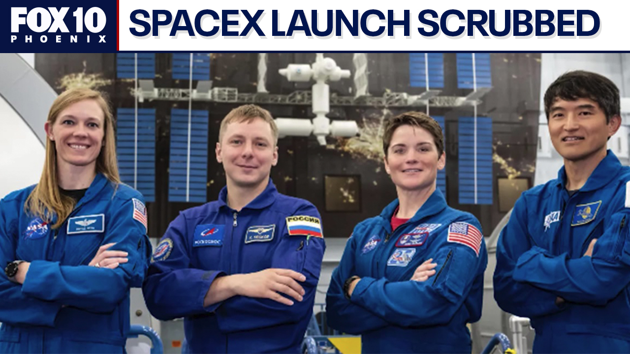 SpaceX launch to the ISS scrubbed
