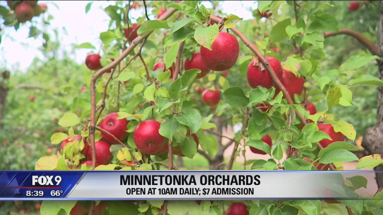 Minnetonka Orchards