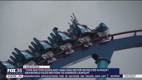 No duck, no lawsuit: SeaWorld Orlando claims woman hit by wild bird, not duck on coaster ride