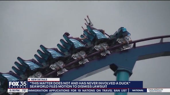 No duck, no lawsuit: SeaWorld Orlando claims woman hit by wild bird, not duck on coaster ride