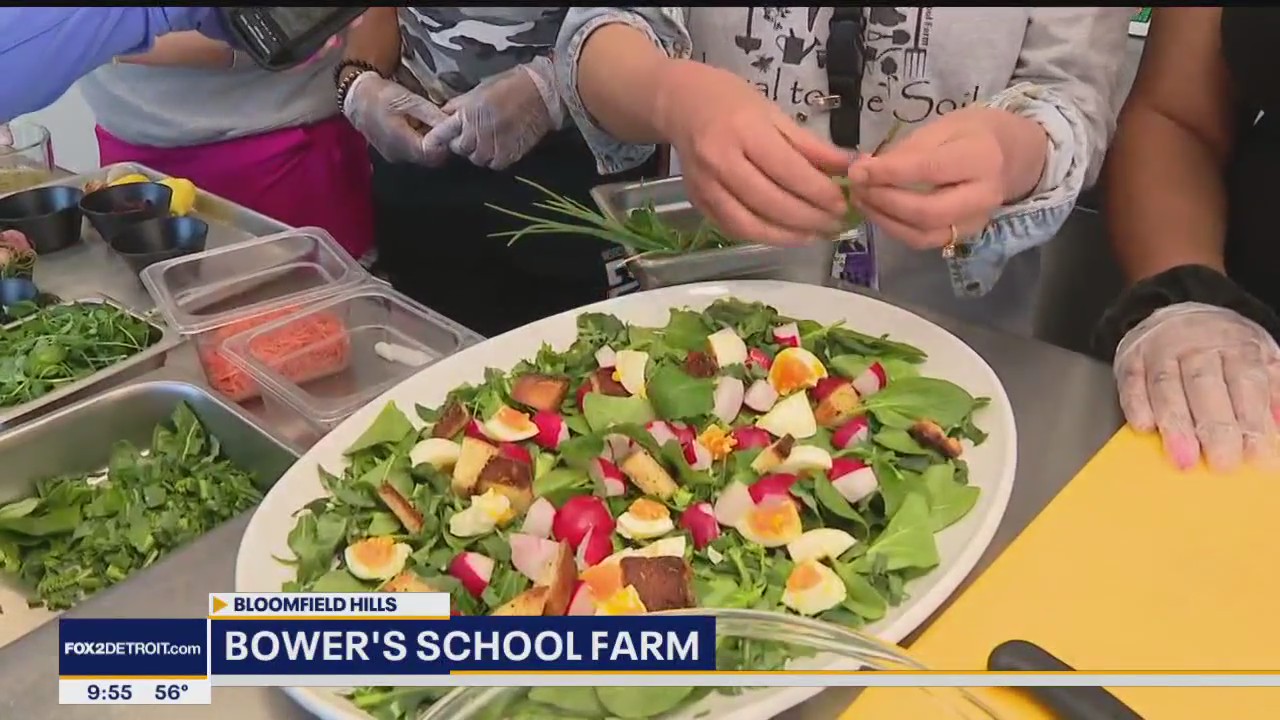 Food from the Farm to the Dinner Table