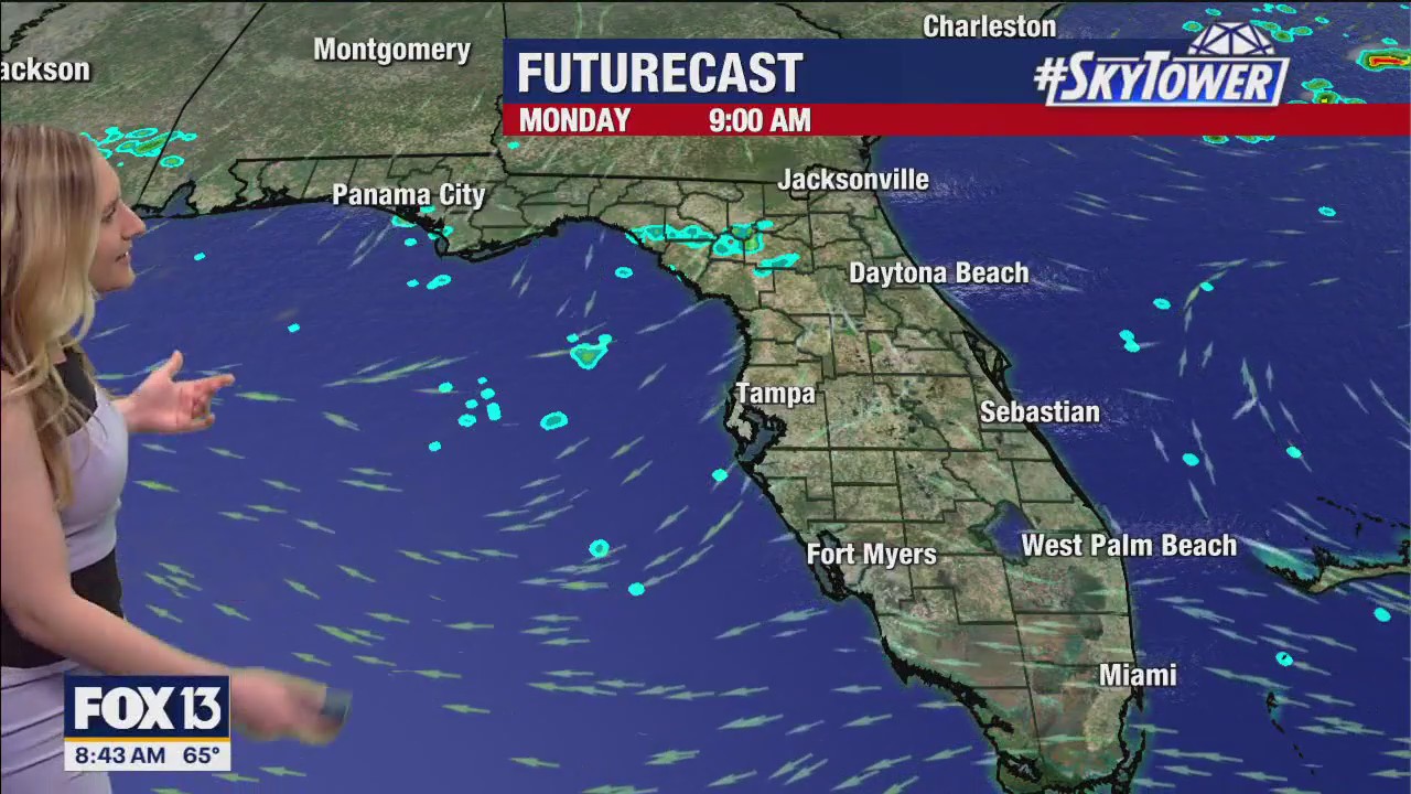 Tampa weather | Comfortable temperatures