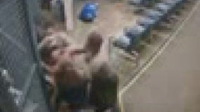 6 LA County deputies accused of using excessive force on inmate arrested for non-violent crime