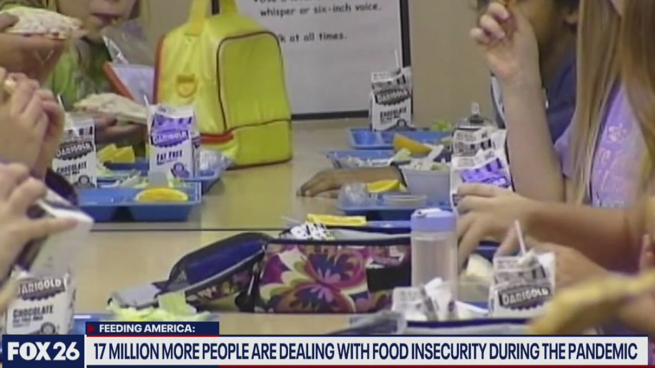 Food insecurity and Houston students