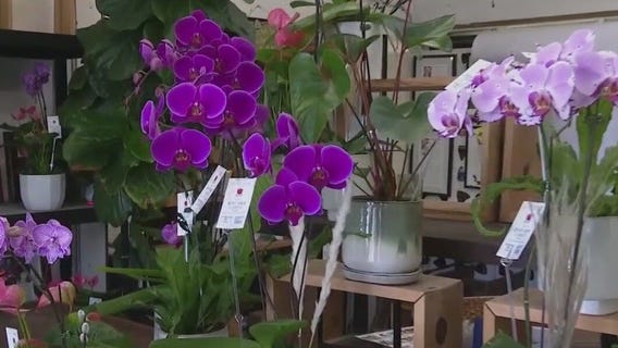 Flower shops in Hawaii face busy season amid tariffs