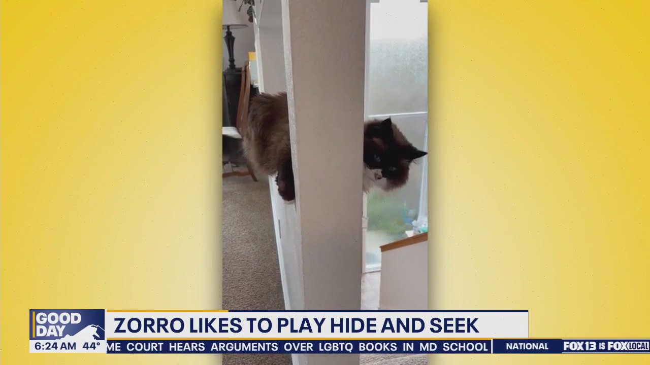 Pet Tricks for Wednesday, April 23