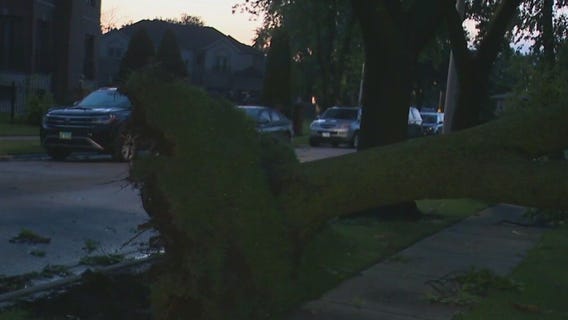 Cleanup underway after widespread storm damage in Chicagoland