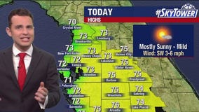 Tampa weather | Mild & dry