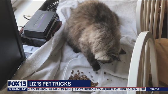 Liz's Pet Tricks for Friday, April 29