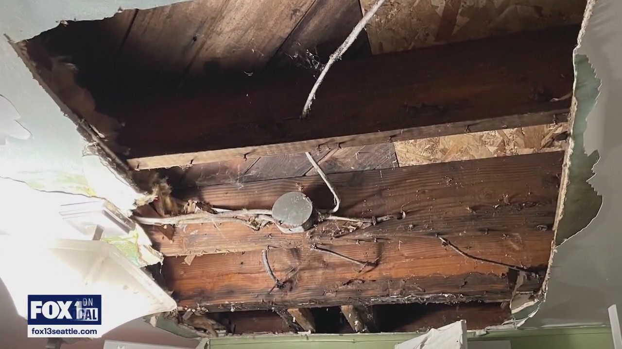 Senior citizens targeted by contractor scams in Mountlake Terrace