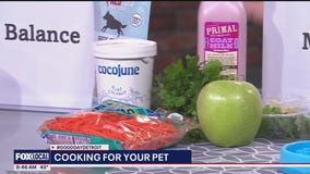 Making balanced bowls and plates for your pet