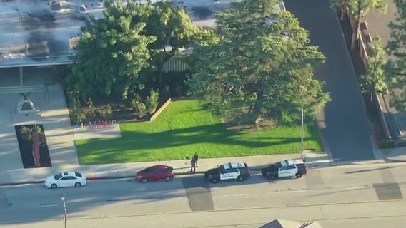 Driver being tracked by police turns himself in