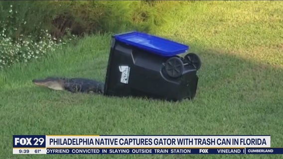 Philadelphia native captures gator with trash can in Florida