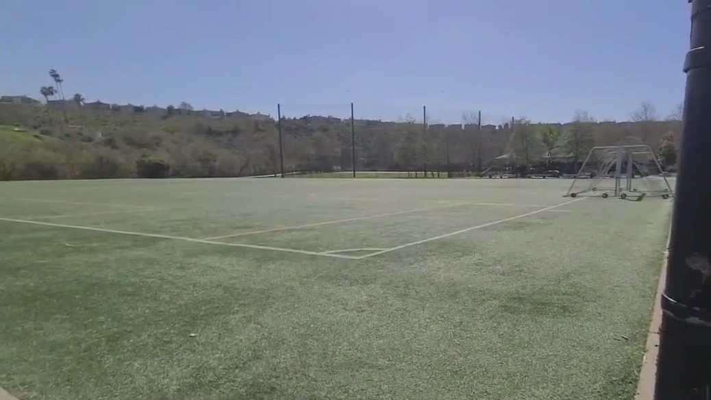 Possible kidnapping attempt in Playa Vista