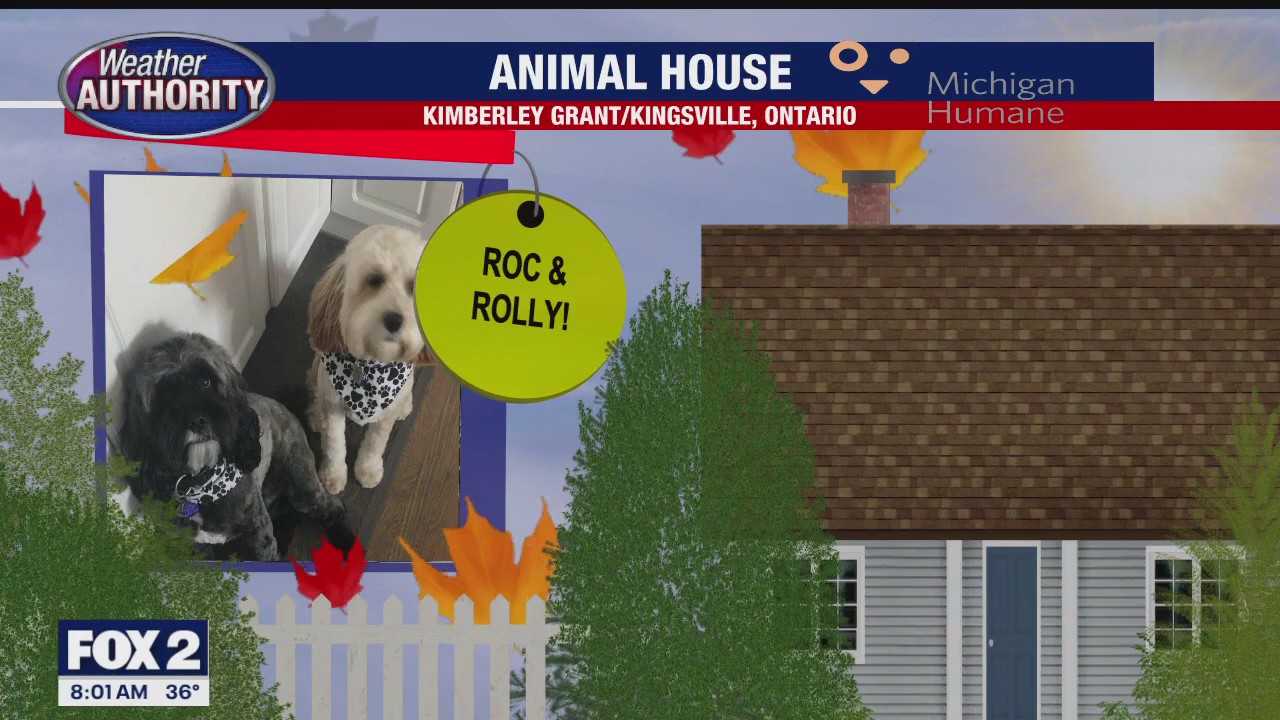 Welcome Roc, Rolly, Diego, Phoenix