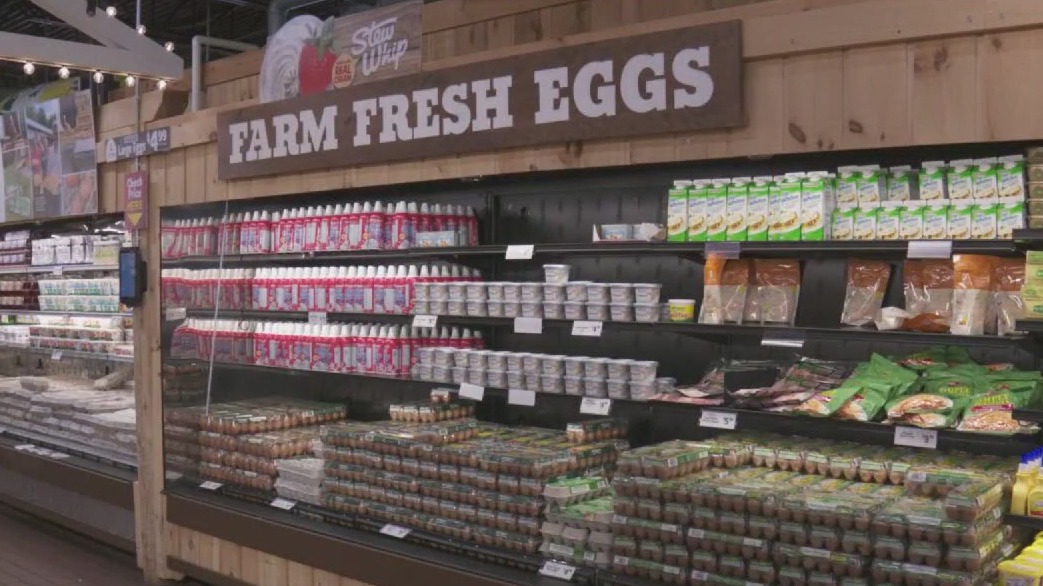Egg prices not dropping fast enough for consumers