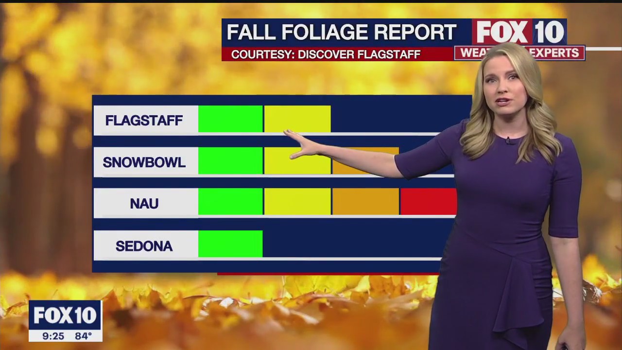 Evening Weather Forecast - 10/11/2022