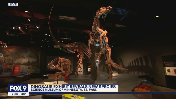 Ultimate Dinosaurs exhibit arrives at the Science Museum of Minnesota