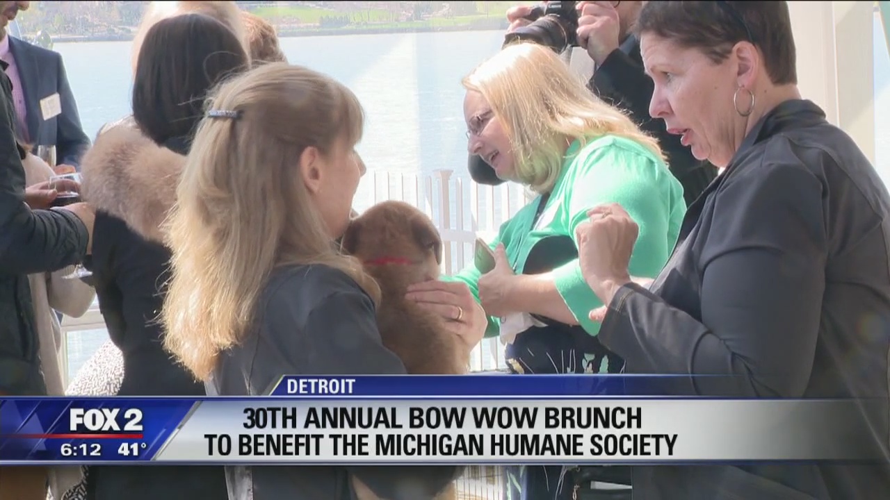 More than $600,000 raised for Michigan Humane Society at annual Bow Wow Brunch