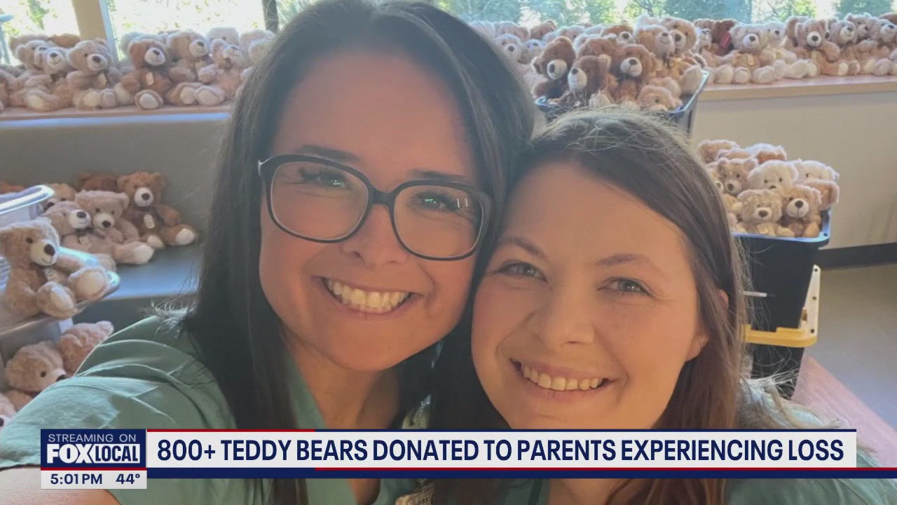 800+ teddy bears donated to grieving parents at WA hospital