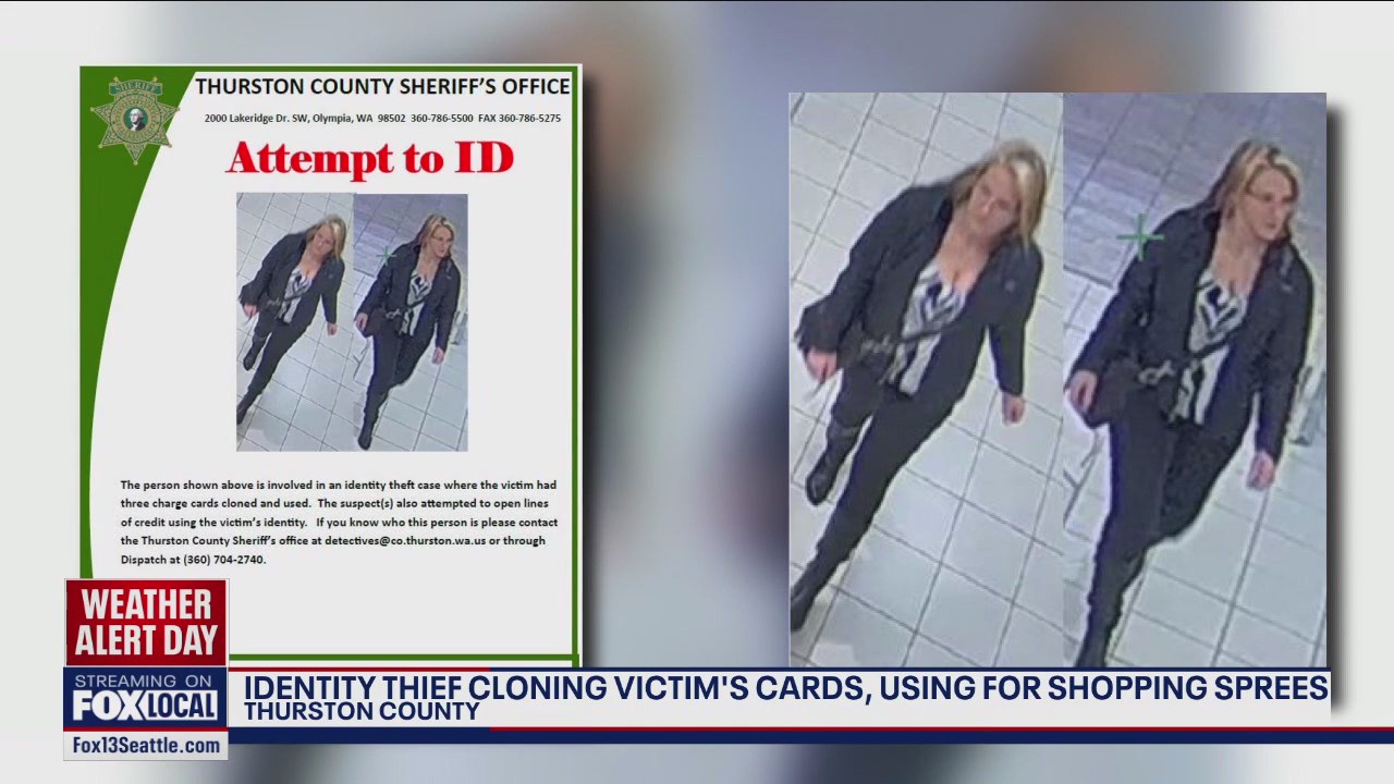 ID thief goes on shopping sprees with victim's cards