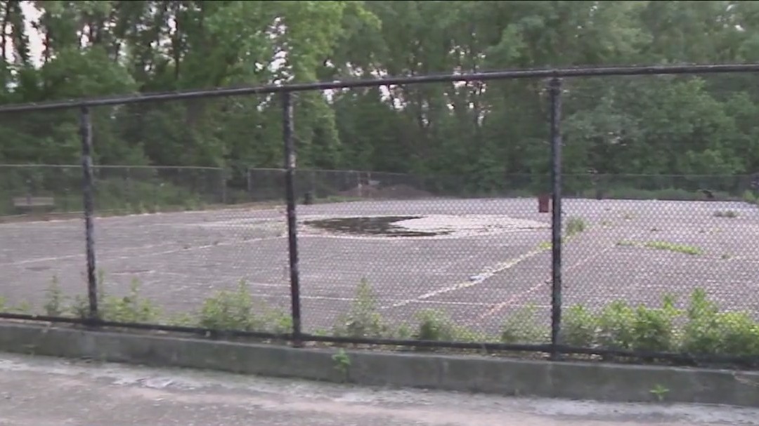 Advocates lay out case to build Bronx skate park