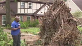 Beryl storm damage in Atascocita