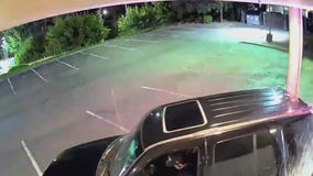 Police arrest prolific smash-and-grab thief