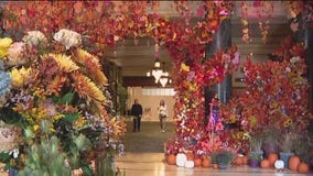 APEC, where world leaders will meet face to face, gets underway Saturday