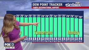 Saturday morning forecast