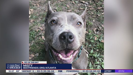 Pet of the Day from Best Friends Animal Society