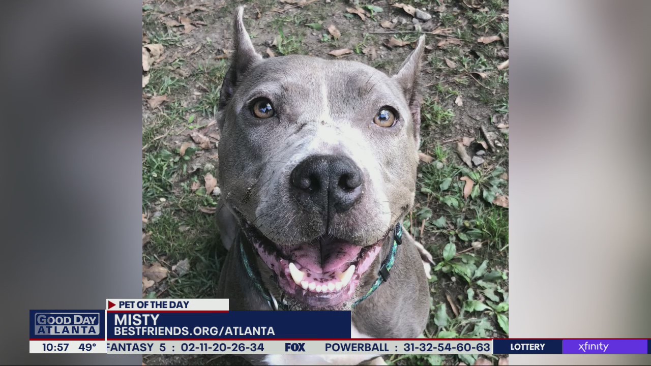 Pet of the Day from Best Friends Animal Society